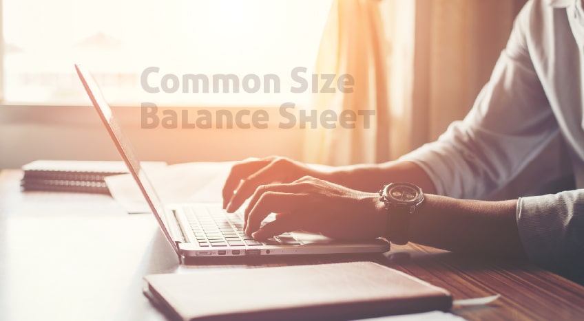 Common Size Balance Sheet Banner