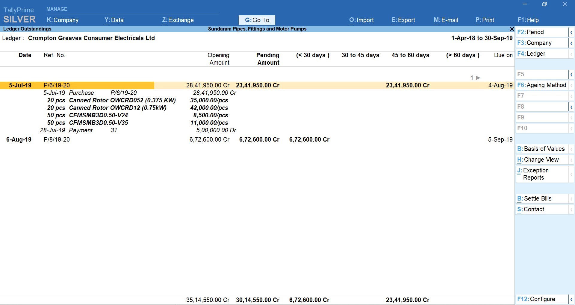View customise reports in TallyPrime