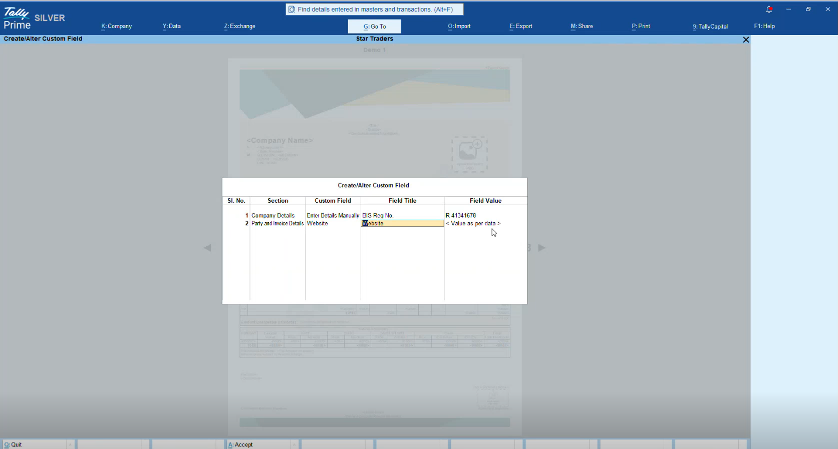 Company level custom fields